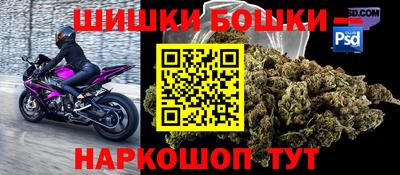 прущие грибы Гатчина